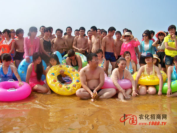 ���ں������������