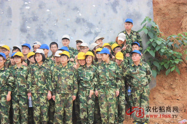 團(tuán)隊(duì)協(xié)作,成功畢業(yè)