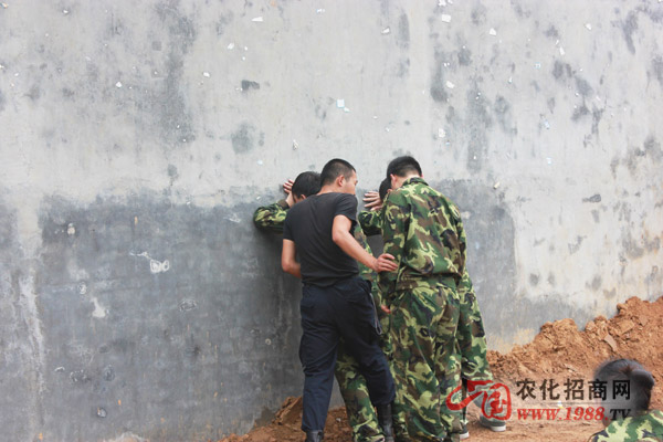 畢業(yè)墻,我們在努力