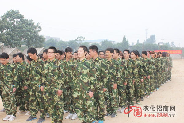 組建團(tuán)隊(duì)