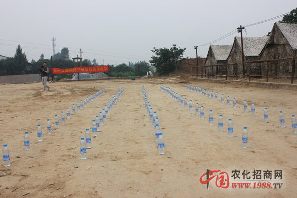 組建團(tuán)隊(duì)