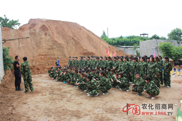 面對(duì)畢業(yè)墻不退縮