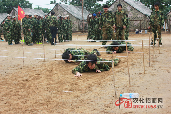 挑戰(zhàn)隊--合作