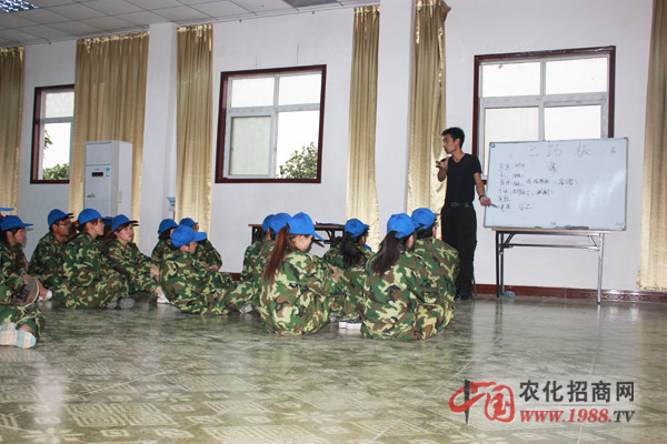 七巧板上的訓練