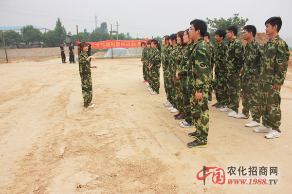 組建團(tuán)隊(duì)