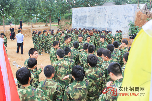 翻越畢業(yè)墻