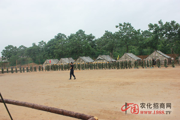 坎坷路后的彩虹