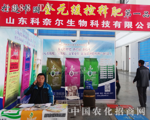 ɽ�|���Π������ʮ�����(y��ng)���ϕ�(hu��)