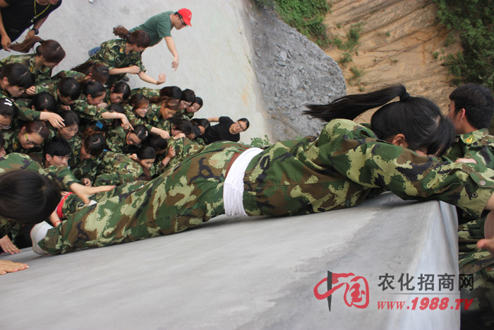 攀爬畢業(yè)墻