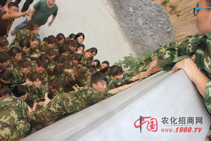 野外拓展訓(xùn)練