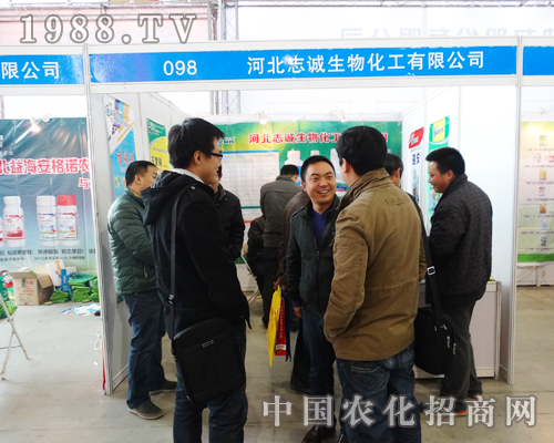     ־�\���ﻯ����2015�ӱ�ֲ���p�����������   