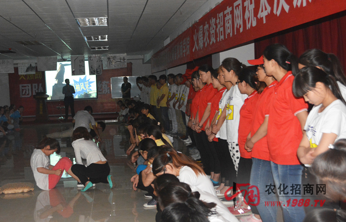 �e�O���ӵ�������������һƬ���