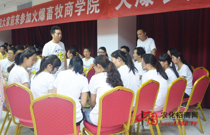 公司內(nèi)訓(xùn)的感想感悟