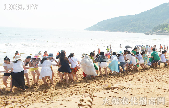 �泯�������w��