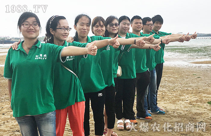 ���M(j��n)�B�Ƹ�  ���ܴ󺣵�����