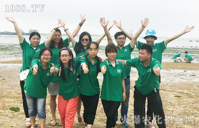 淺談公司旅游中遵守組織安排的重要性