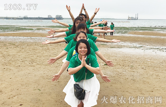 ���w������������