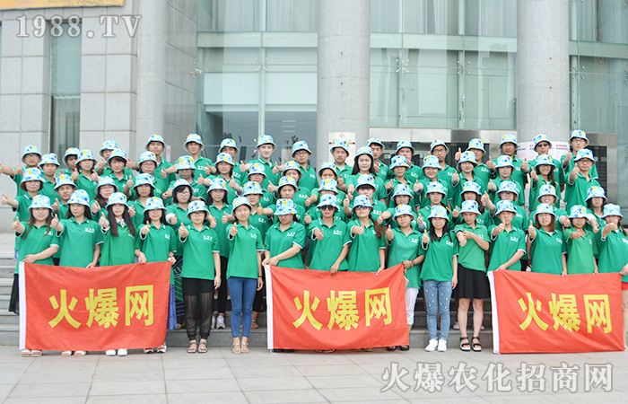 ������ӣ��҂����Țg��(l��)֮��