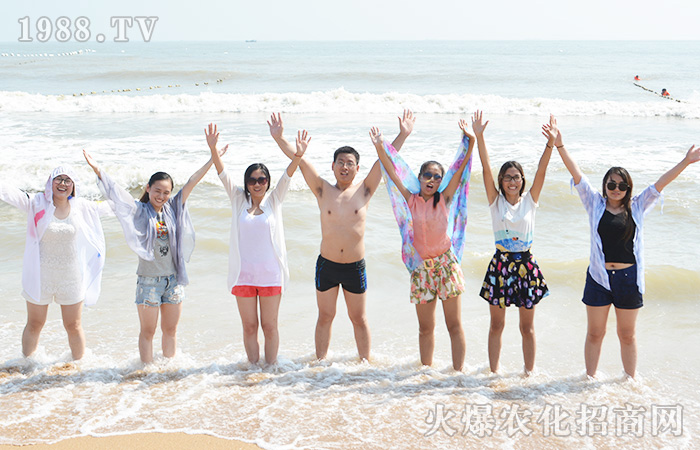 �������Օ����B�Ƹ�