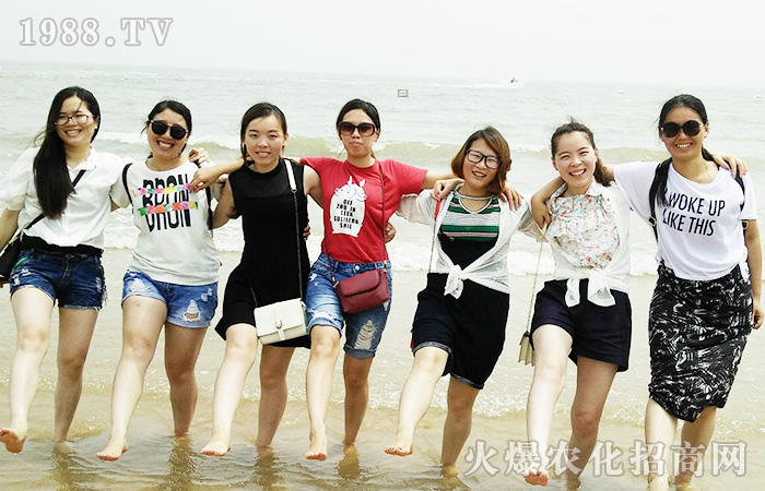 �B�Ƹ�֮��--�_̤��(sh��)���ߺ�����ÿһ����