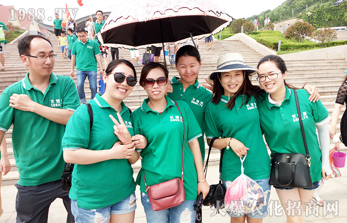     �����B�Ƹۣ����ܺ����������