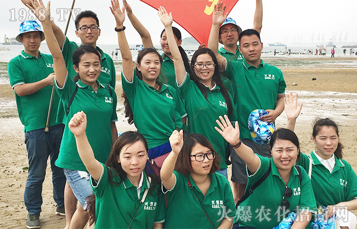     �����B�Ƹ������ܺ����������