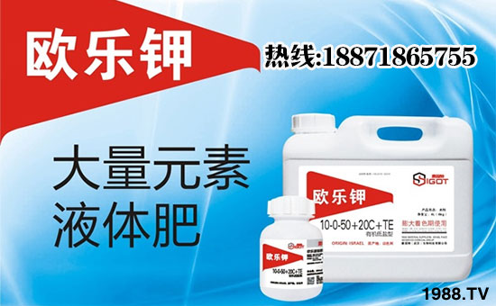 【賽固特】恭祝新老客戶雞年行大運,財源滾滾來!