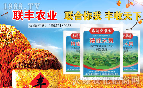 【聯(lián)豐農(nóng)業(yè)】祝大家2017年心想事成,工作順利,闔家歡樂!