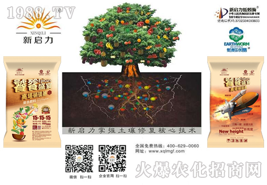 ���V�����������R����u�꼪���������d¡������������