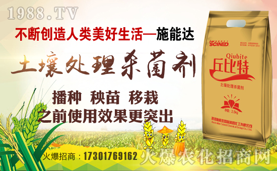 澳洲施能達化工集團有限公司1