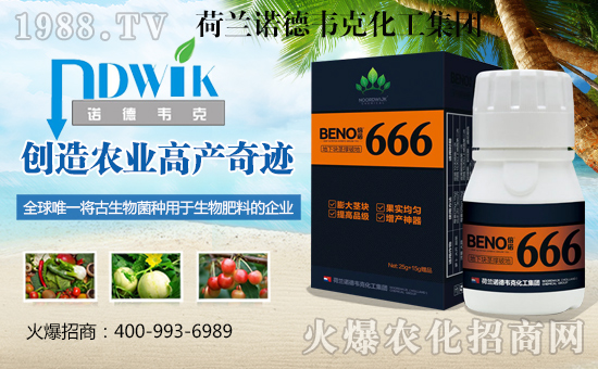 荷蘭諾德韋克化工集團(tuán)4