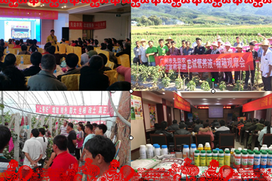 廣州市先益農(nóng)農(nóng)業(yè)科技有限公司1