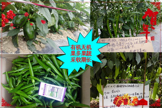 廣州市先益農(nóng)農(nóng)業(yè)科技有限公司