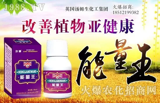 Ӣ����ķ���������F���޹�˾