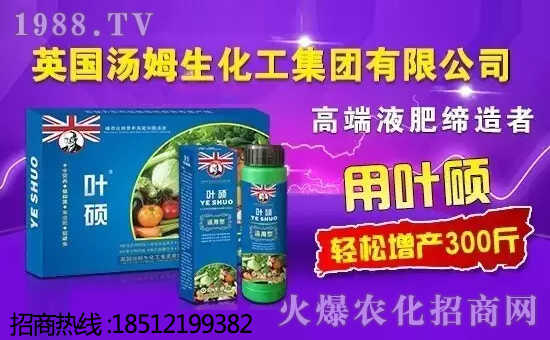 Ӣ����ķ���������F���޹�˾