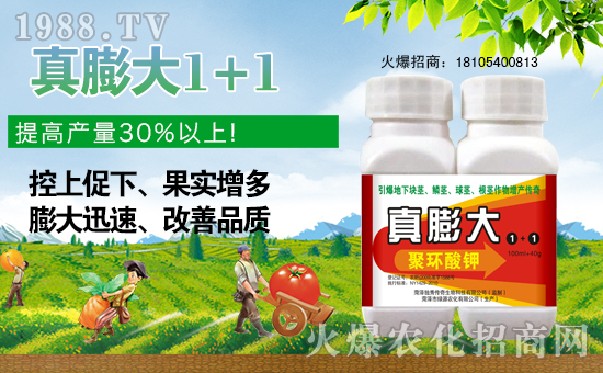 ɽ�|�ʝ��оGԴ�r(n��ng)�����޹�˾1