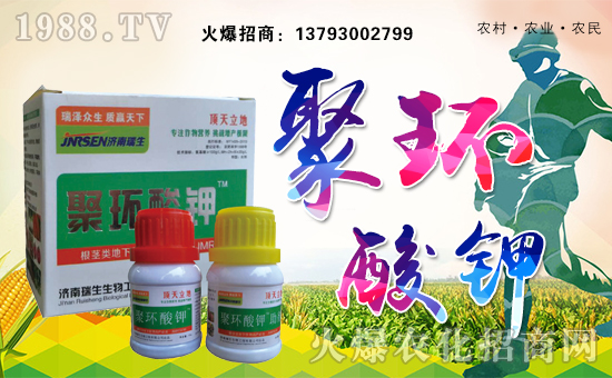 濟南瑞生生物工程有限公司1