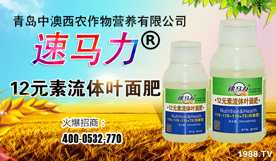 ���а����r��ף�������t��ؔԴ�V�M���ϼ��Ҹ���