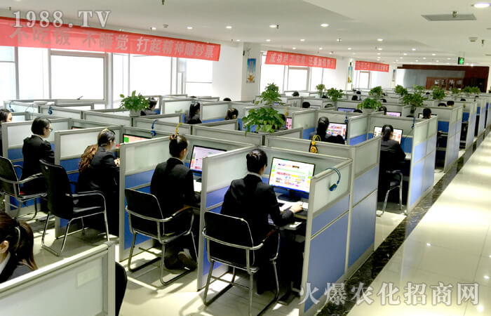 ����2016����2017��