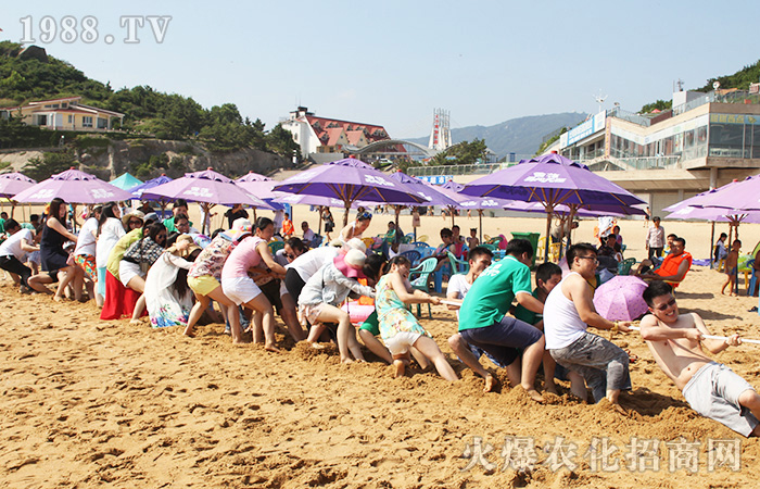 2016年突破了那些