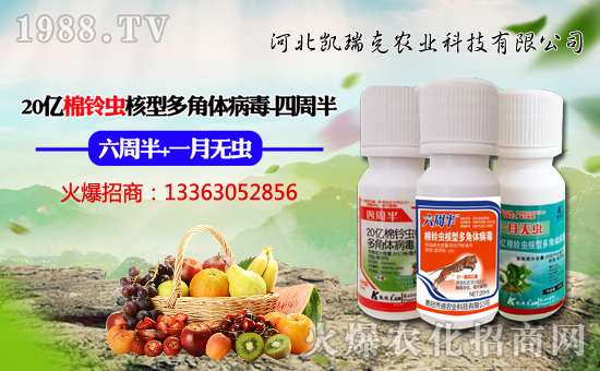 河北凱瑞克農(nóng)業(yè)科技有限公司