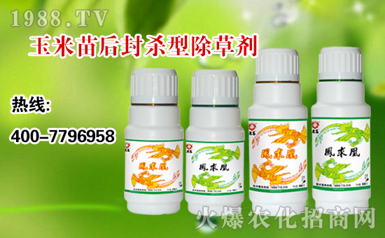 【順天農(nóng)業(yè)】祝大家:幸福萬年長,快樂無邊疆,好運更健康!