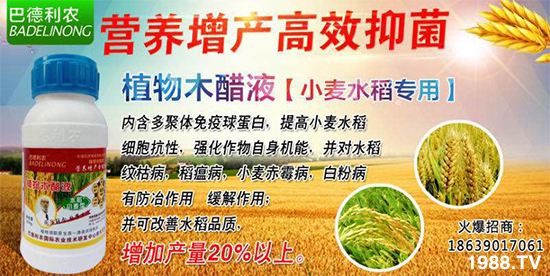 河南諾鑫農業(yè)科技有限公司