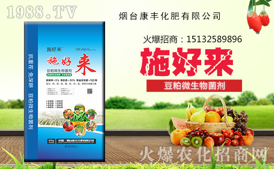 �����_���S���ʡ�ף������w�������H�Қg����