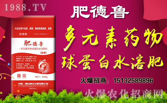 �����_���S���ʡ�ף������w�������H�Қg����