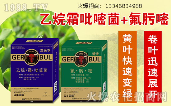 ����ţ�����H��ֲ�ﱣ�o(h��)���޹�˾