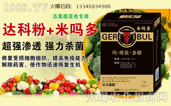 ����ţ�����H��ֲ�ﱣ�o(h��)���޹�˾