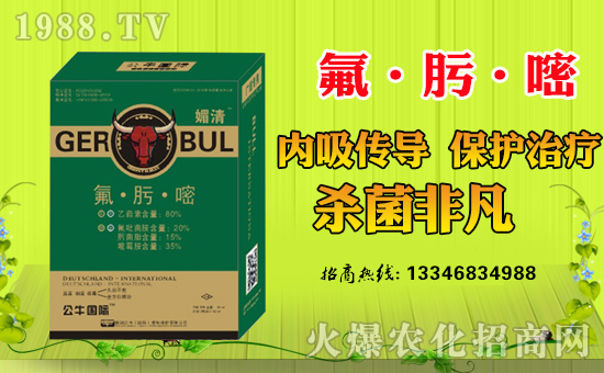 ����ţ�����H��ֲ�ﱣ�o(h��)���޹�˾