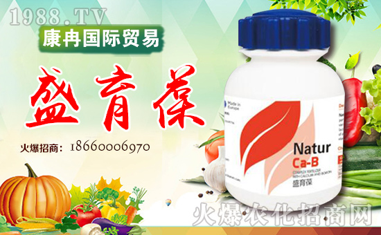 ���_(t��i)��Ƚ��(gu��)�H�Q(m��o)�����޹�˾3