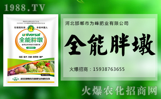 【為峰肥業(yè)】給您拜年啦!祝您新春大吉,萬事如意!
